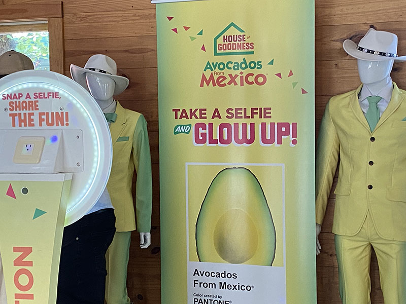 Ever dance with a Guac Bot? A look at Avocados From Mexico’s House of